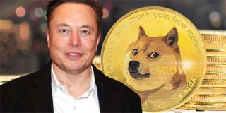 狗狗币暴涨致1.7亿美元空单爆仓！马斯克将支持狗狗币支付？