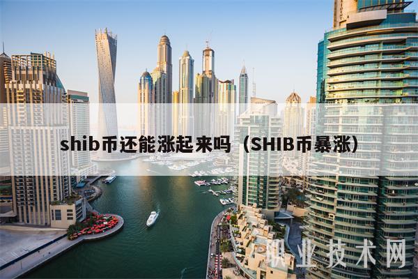 shib币还能涨起来吗（SHIB币暴涨-第1张图片-欧意易下载