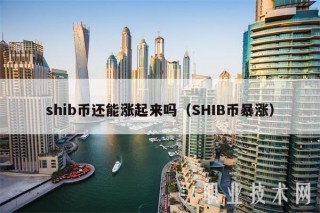 shib币还能涨起来吗（SHIB币暴涨
