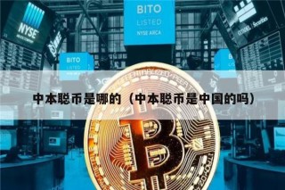 中本聪币是哪的（中本聪币是中国的吗）