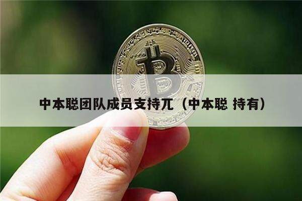中本聪团队成员支持兀（中本聪 持有）-第1张图片-欧意易下载
