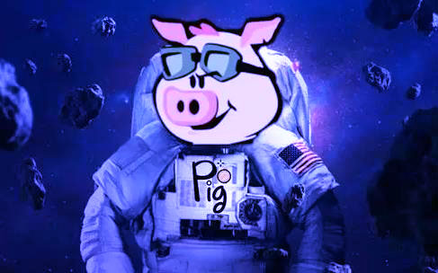 pig欧意易易卓交易中心哪里下载 pig币交易所安卓手机中文版-第1张图片-欧意易下载