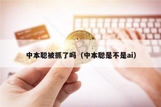 中本聪被抓了吗（中本聪是不是ai）