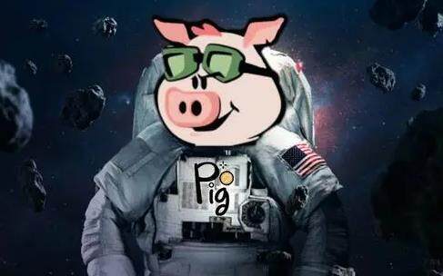 pig币交易所下载 pig币交易所APP官方下-第1张图片-欧意易下载