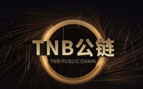 链克币交易行情平台(链克币价格走势图)-第1张图片-欧意易下载