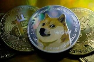 dogb币走势(dogb币最新价格行情)