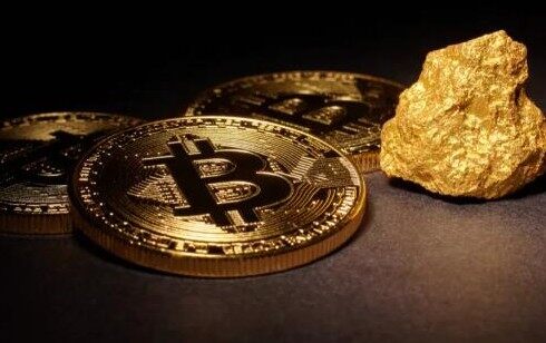 onky冷钱包下载_onky冷钱包免费下载-第1张图片-欧意易下载