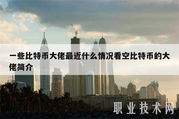 一些比特币大佬最近什么情况看空比特币的大佬简介-第1张图片-欧意易下载