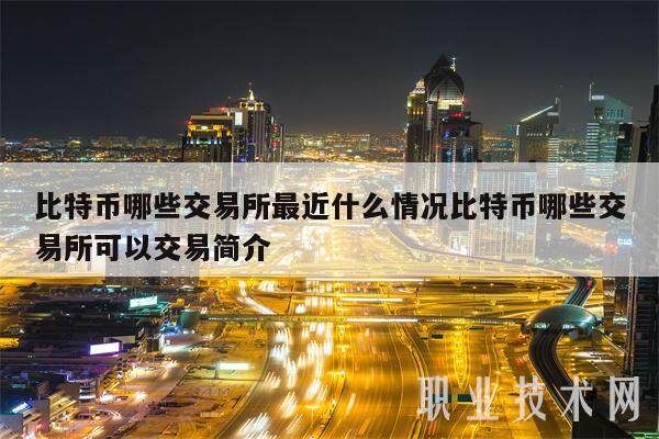 比特币哪些交易所最近什么情况比特币哪些交易所可以交易简介-第1张图片-欧意易下载