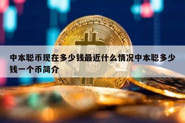 中本聪币现在多少钱最近什么情况中本聪多少钱一个币简介-第1张图片-欧意易下载