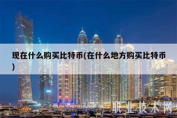 现在什么购买比特币(在什么地方购买比特币)-第1张图片-欧意易下载