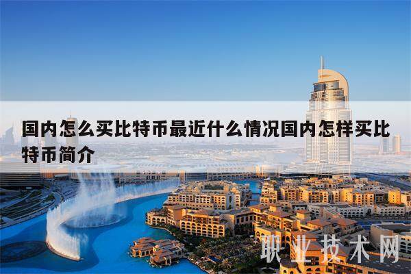 国内怎么买比特币最近什么情况国内怎样买比特币简介-第1张图片-欧意易下载