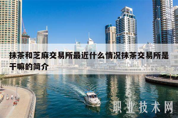 抹茶和芝麻交易所最近什么情况抹茶交易所是干嘛的简介-第1张图片-欧意易下载