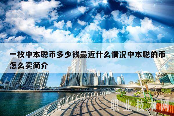 一枚中本聪币多少钱最近什么情况中本聪的币怎么卖简介-第1张图片-欧意易下载