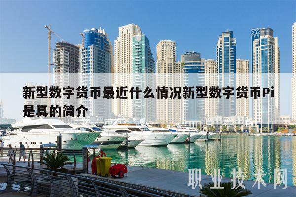 新型数字货币最近什么情况新型数字货币Pi是真的简介-第1张图片-欧意易下载