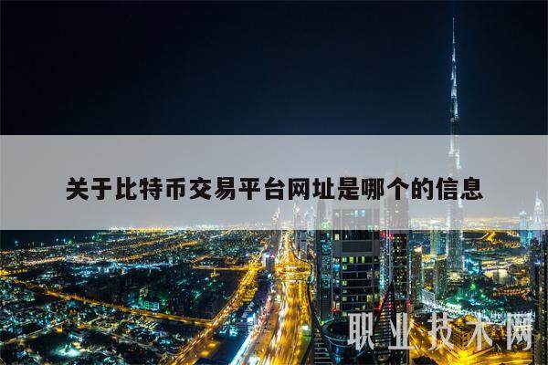 关于比特币交易平台网址是哪个的信息-第1张图片-欧意易下载