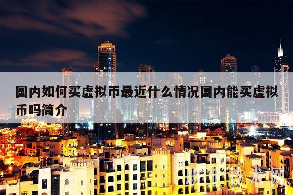 国内如何买虚拟币最近什么情况国内能买虚拟币吗简介-第1张图片-欧意易下载