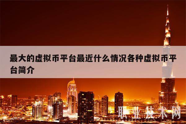 最大的虚拟币平台最近什么情况各种虚拟币平台简介-第1张图片-欧意易下载