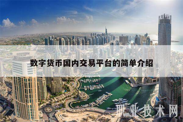 数字货币国内交易平台的简单介绍-第1张图片-欧意易下载
