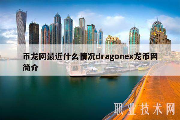 币龙网最近什么情况dragonex龙币网简介-第1张图片-欧意易下载