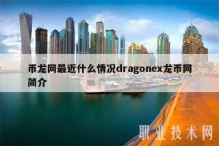 币龙网最近什么情况dragonb龙币网简介
