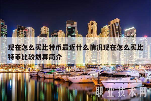现在怎么买比特币最近什么情况现在怎么买比特币比较划算简介-第1张图片-欧意易下载