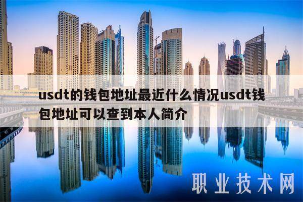 usdt的钱包地址最近什么情况usdt钱包地址可以查到本人简介-第1张图片-欧意易下载