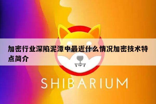 加密行业深陷泥潭中最近什么情况加密技术特点简介-第1张图片-欧意易下载
