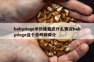 babydogb币价格最近什么情况babydogb这个币咋样简介