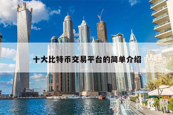 十大比特币交易平台的简单介绍-第1张图片-欧意易下载