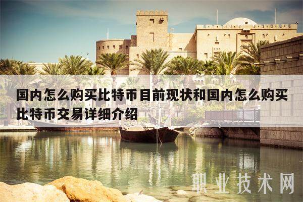国内怎么购买比特币目前现状和国内怎么购买比特币交易详细介绍-第1张图片-欧意易下载