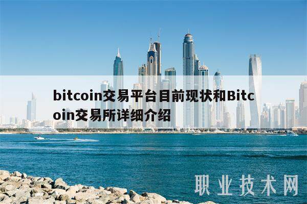 bitcoin交易平台目前现状和Bitcoin交易所详细介绍-第1张图片-欧意易下载