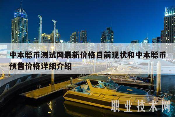 中本聪币测试网最新价格目前现状和中本聪币预售价格详细介绍-第1张图片-欧意易下载