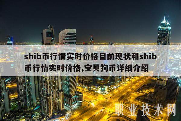 shib币行情实时价格目前现状和shib币行情实时价格,宝贝狗币详细介绍-第1张图片-欧意易下载