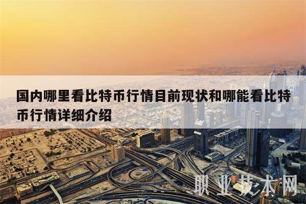 国内哪里看比特币行情目前现状和哪能看比特币行情详细介绍-第1张图片-欧意易下载