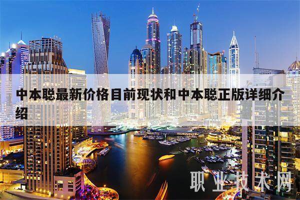 中本聪最新价格目前现状和中本聪正版详细介绍-第1张图片-欧意易下载