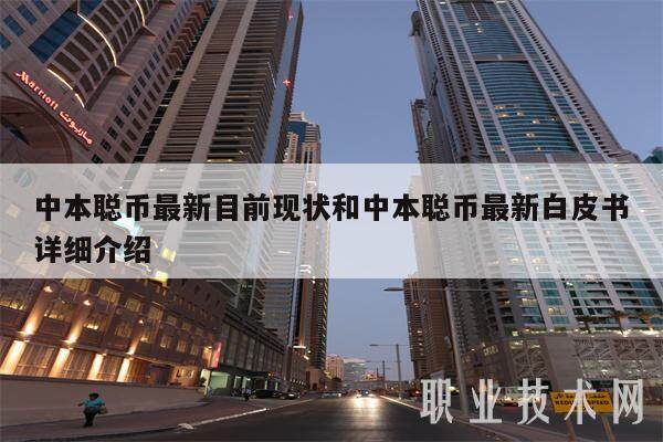 中本聪币最新目前现状和中本聪币最新白皮书详细介绍-第1张图片-欧意易下载