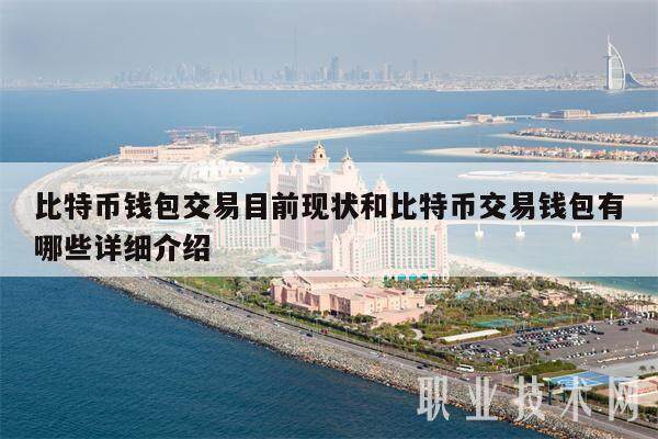 比特币钱包交易目前现状和比特币交易钱包有哪些详细介绍-第1张图片-欧意易下载