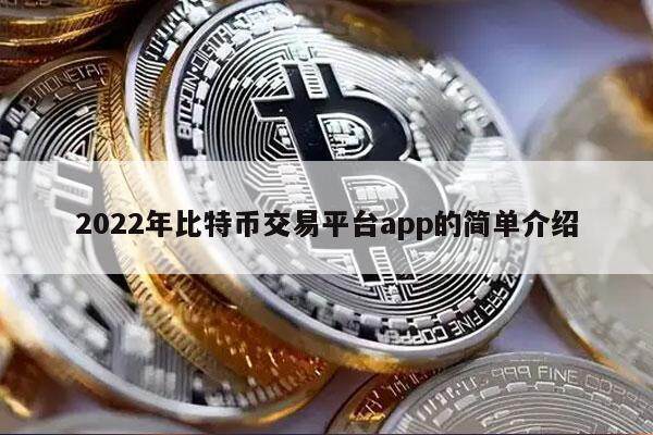 2022年比特币交易平台app的简单介绍-第1张图片-欧意易下载