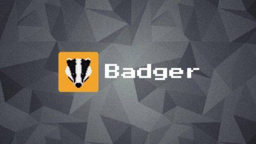 什么是Badger DAO币-第1张图片-欧意易下载