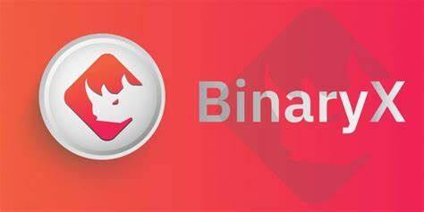 什么是BinaryX币-第1张图片-欧意易下载
