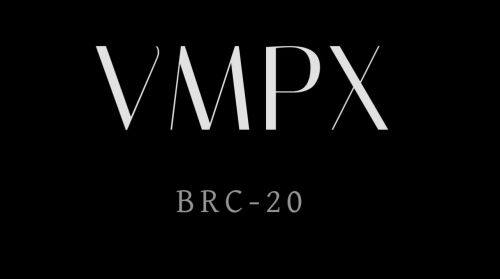 VMPX(Ordinals)币是什么?-第1张图片-欧意易下载