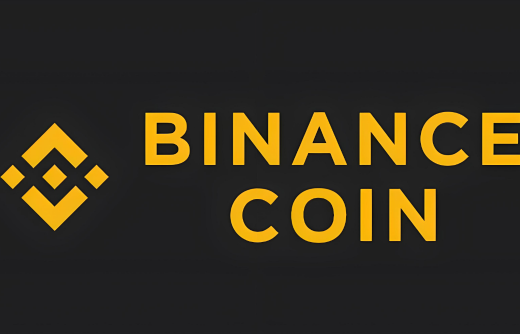 如何使用BIAN支付付款-第1张图片-欧意易下载