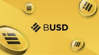 Binancb USD(BUSD)币种介绍
