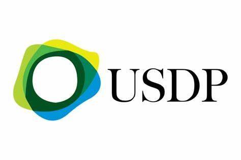 Pax Dollar(USDP)币种介绍-第1张图片-欧意易下载