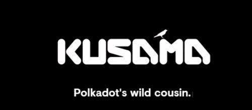 Kusama(KSM)币是什么-第1张图片-欧意易下载