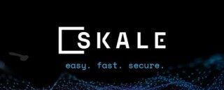 什么是SKALB Nbtwork (SKL)币?