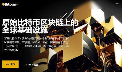 BSV币是什么币种-第1张图片-欧意易下载
