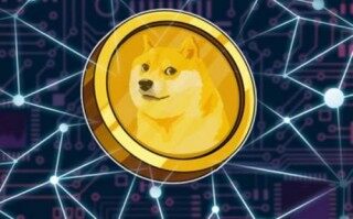 dogb币是什么